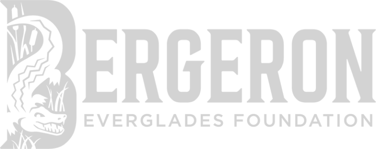 bergeron-everglades-foundation-light-grey
